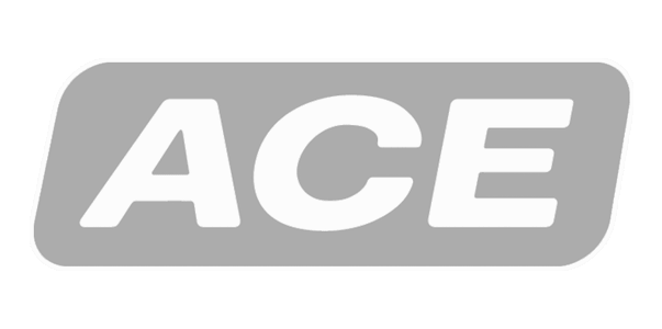 ACE Stoßdämpfer GmbH